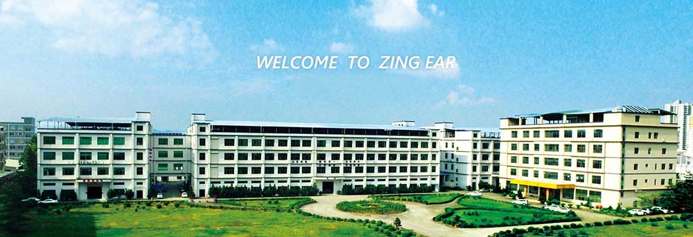 Where to buy zing ear switches