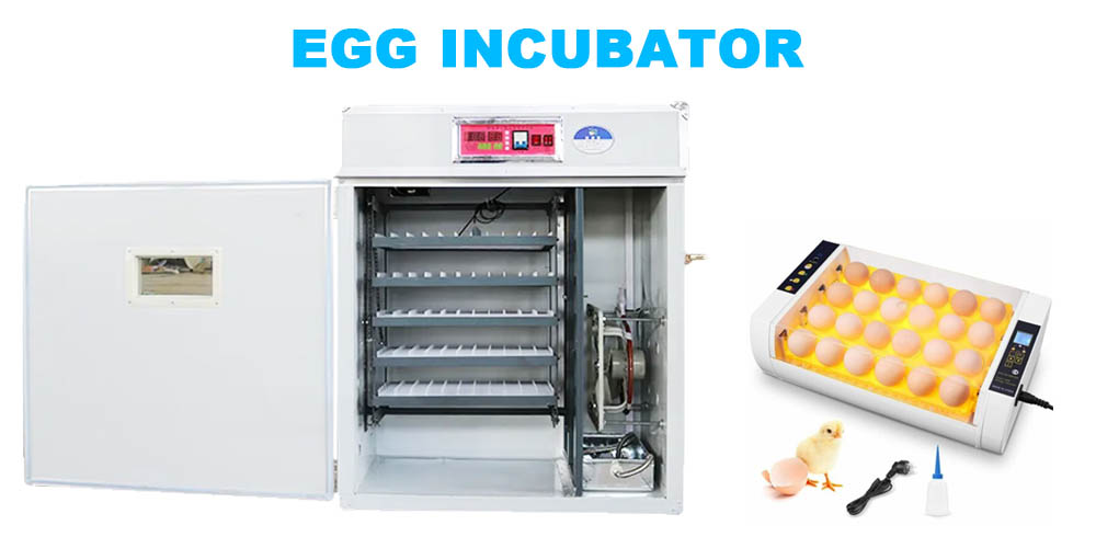 What is egg incubator