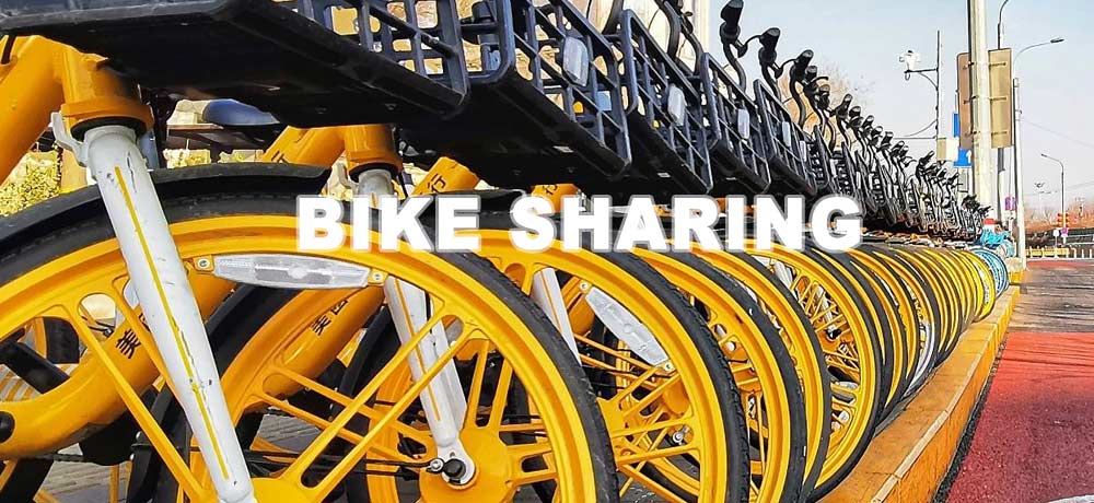 Bicycle Sharing