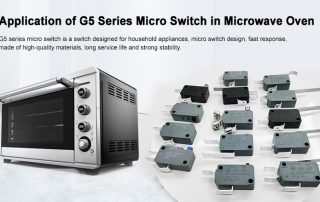 G5 series micro switch