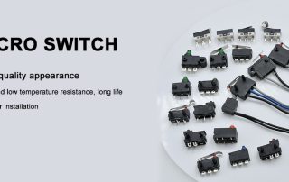 micro-switch