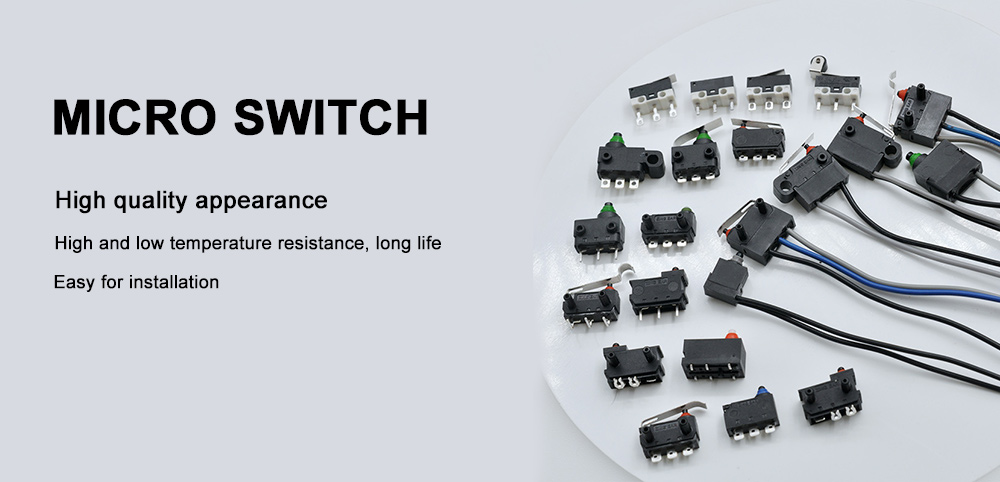 micro-switch
