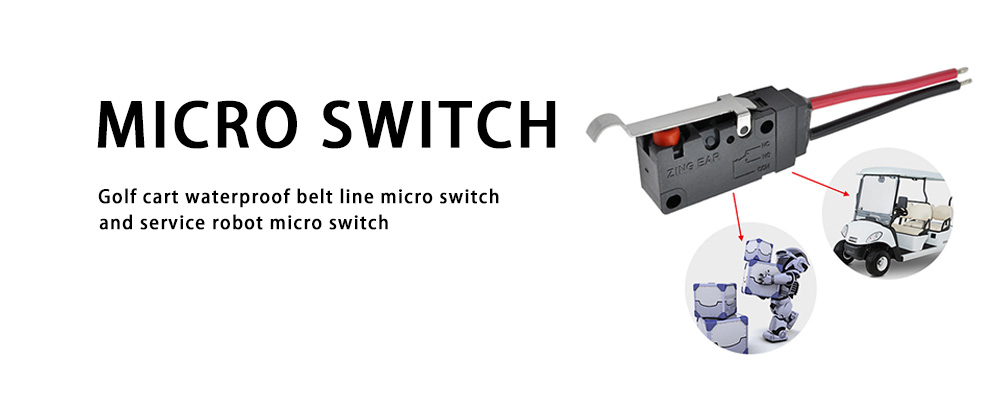 micro-switch