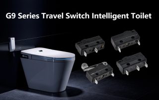 G9 Series Travel Switch