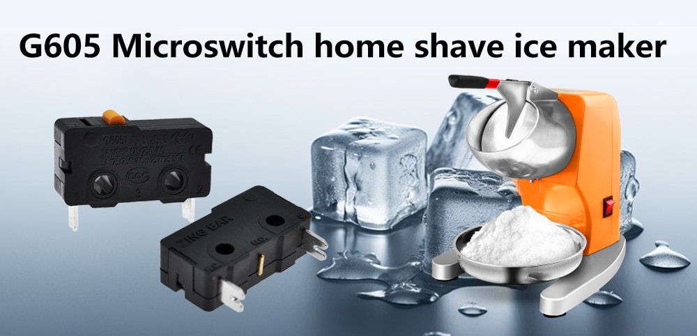 G605 Series Microswitch