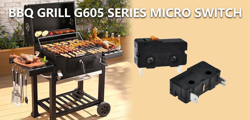 G605 Series Micro Switch