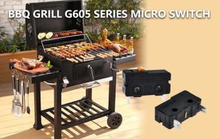 G605 Series Micro Switch