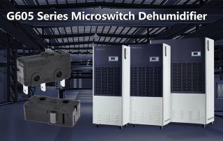 G605 Series Microswitch