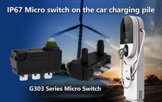 IP67 Micro switch