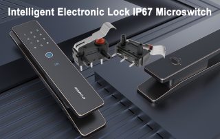 IP67 Microswitch