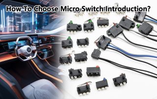 Micro Switch