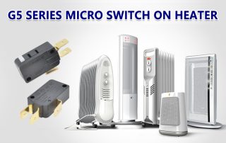 G5 series micro switch