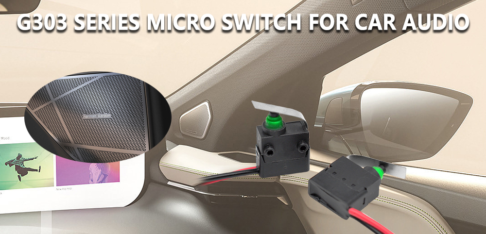 G303 Series Micro Switch