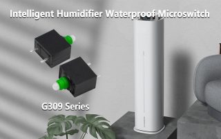 Waterproof Microswitch